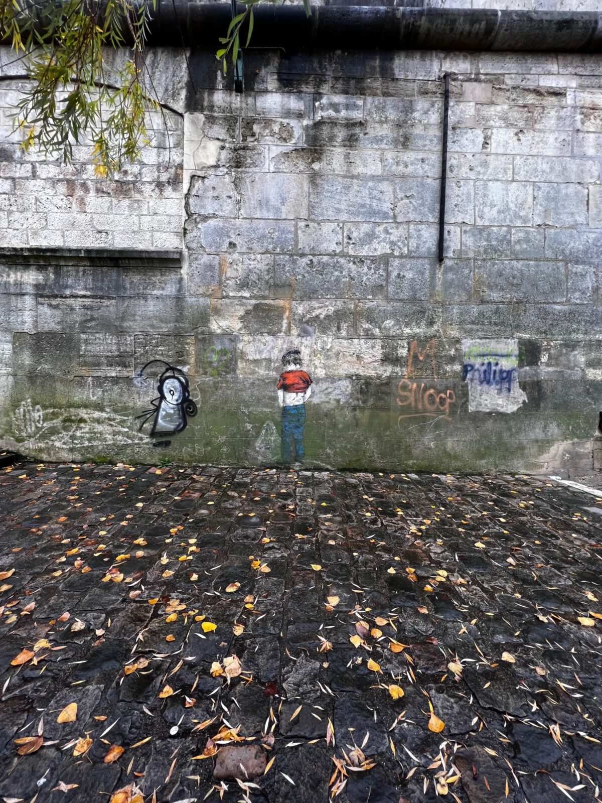 IMG 1778
