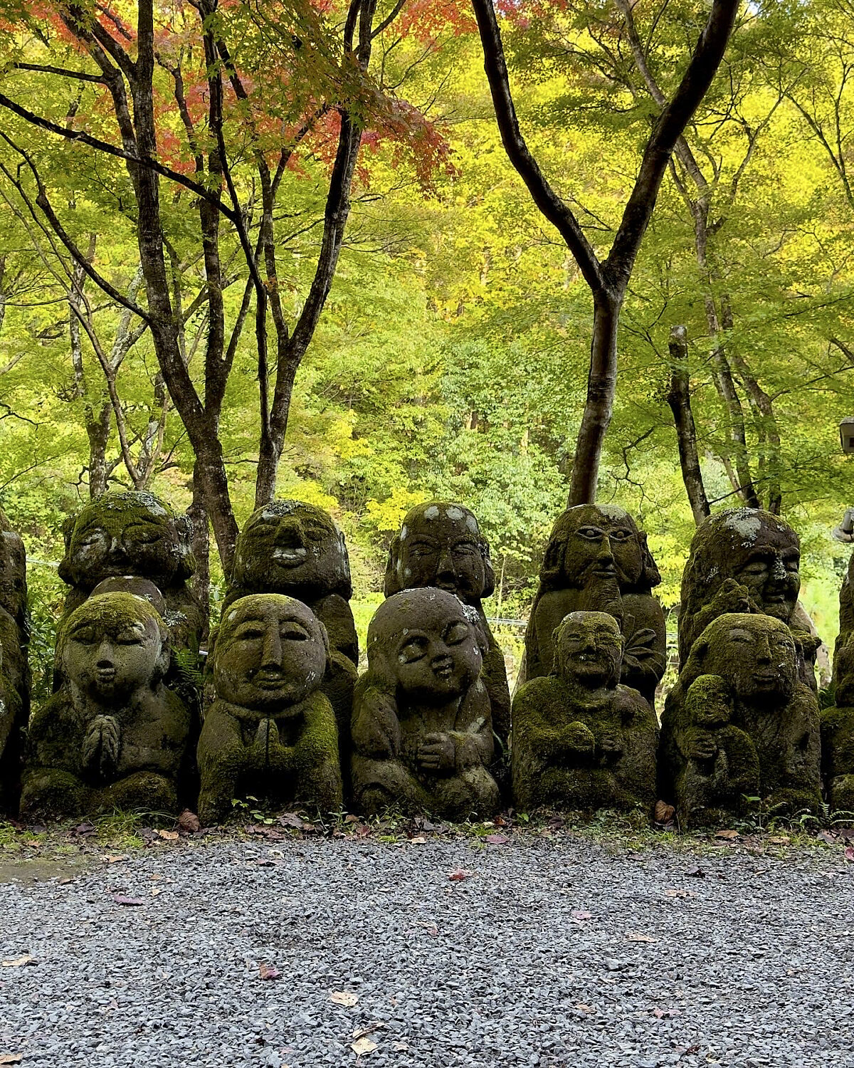 Otagi nenbutsu ji temple kyoto 53412498019 o
