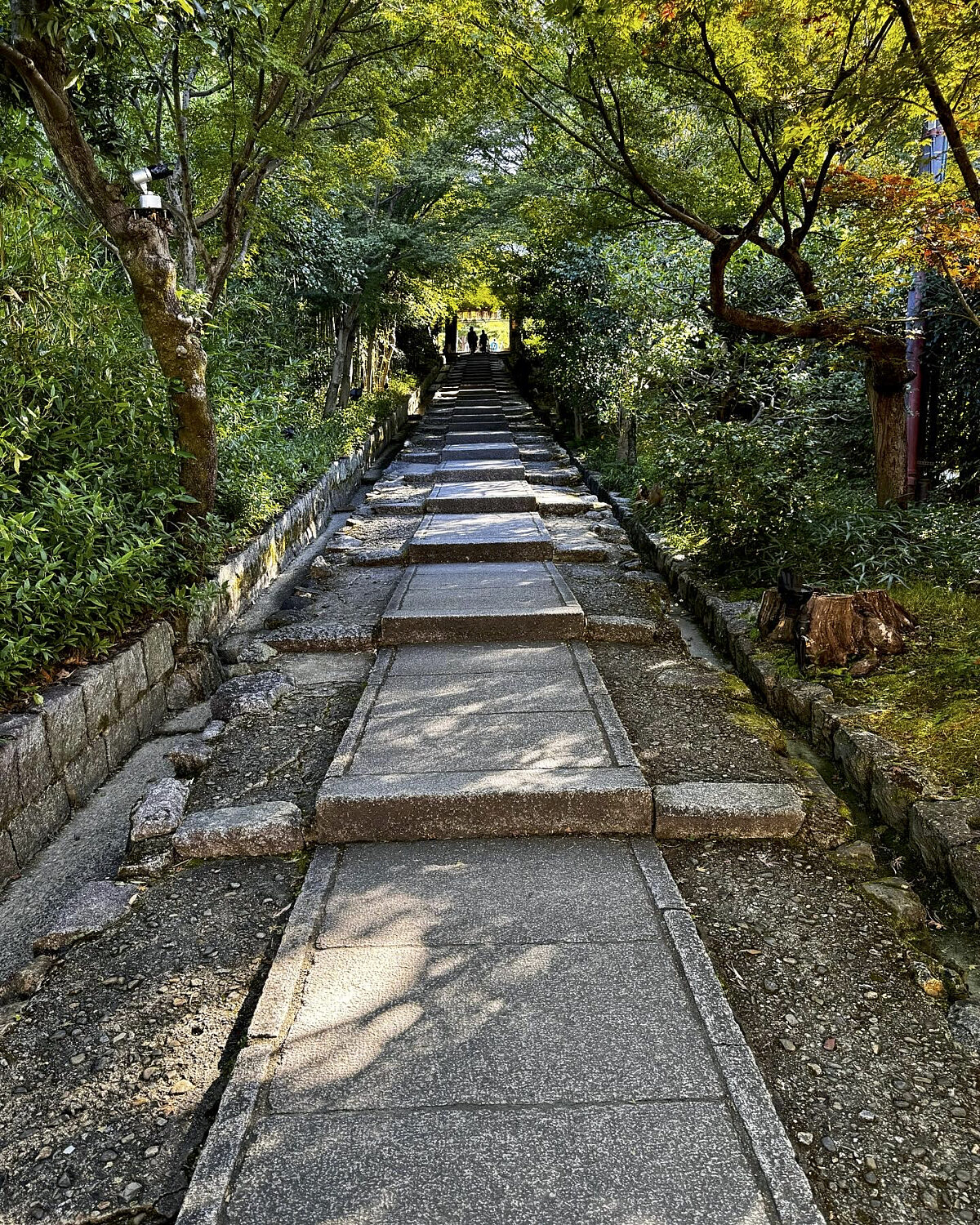 Kyoto walkway 53412498144 o