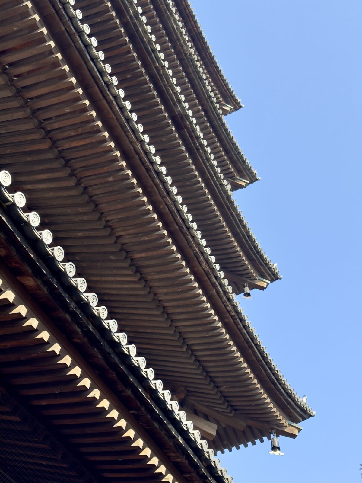 Kyoto 53412388423 o